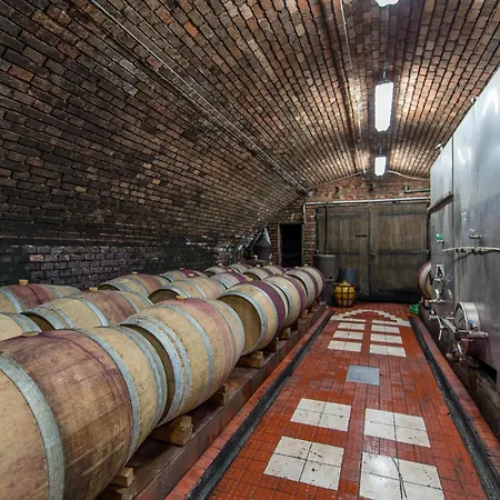 Pensión Vinum Vivo Winery