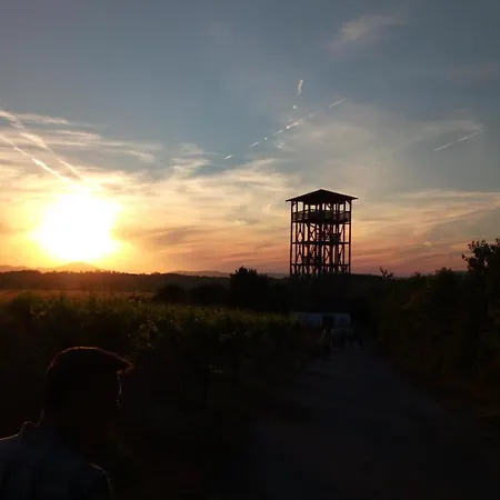 Vinum Vivo Winery * Nevidzany